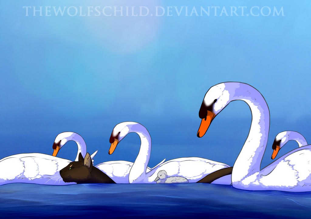Seven Swans A Swimming by TheWolfsChild on DeviantArt