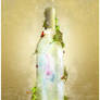 Magic Bottle