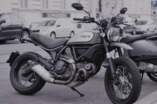 Ducati Scrambler :3