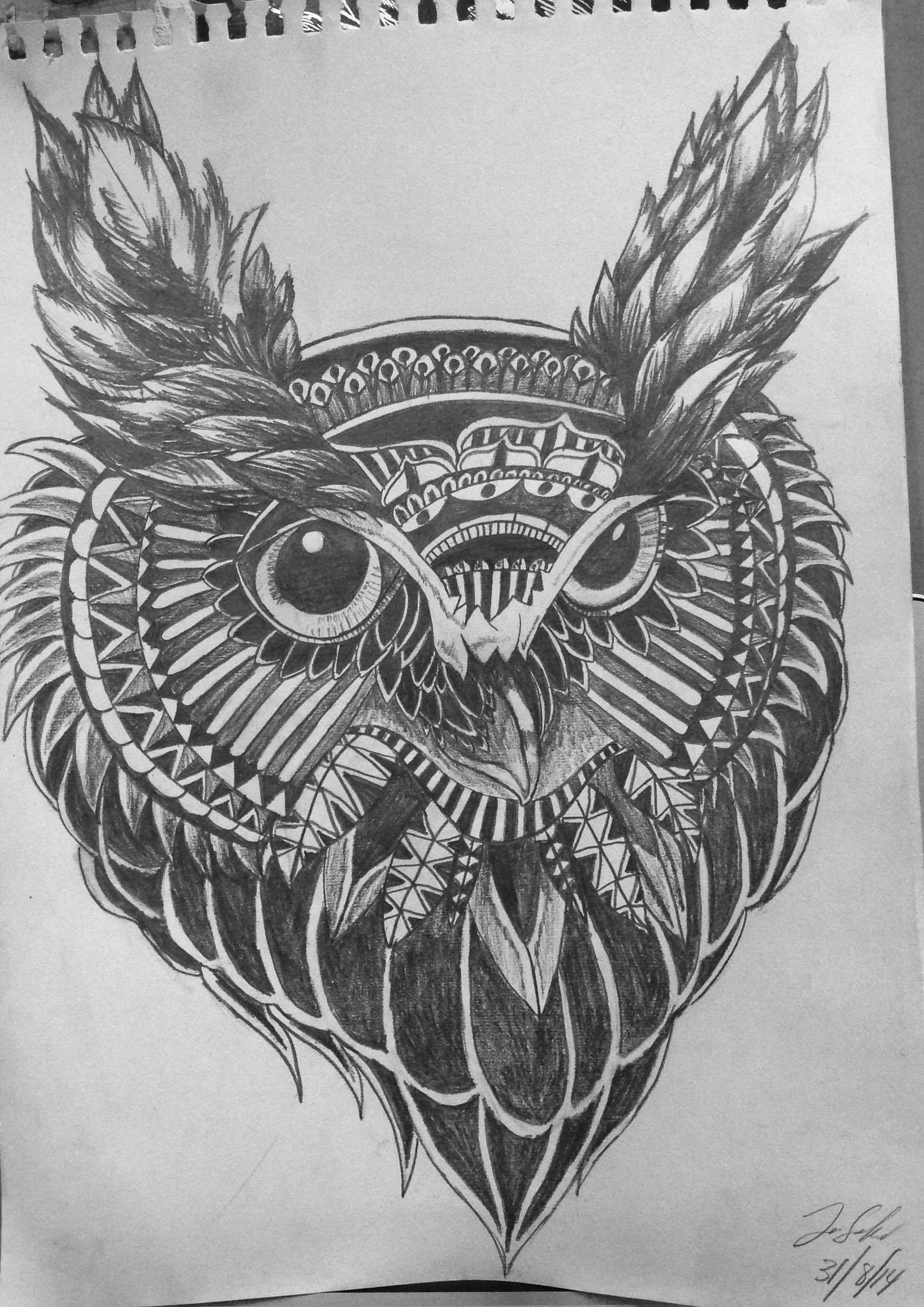 Owl Rendition