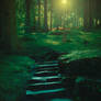 Premade Background #05