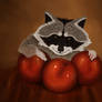 Raccoon and apples
