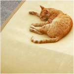 Sleep Darling, Sleep.. by Dark-lil-Angel