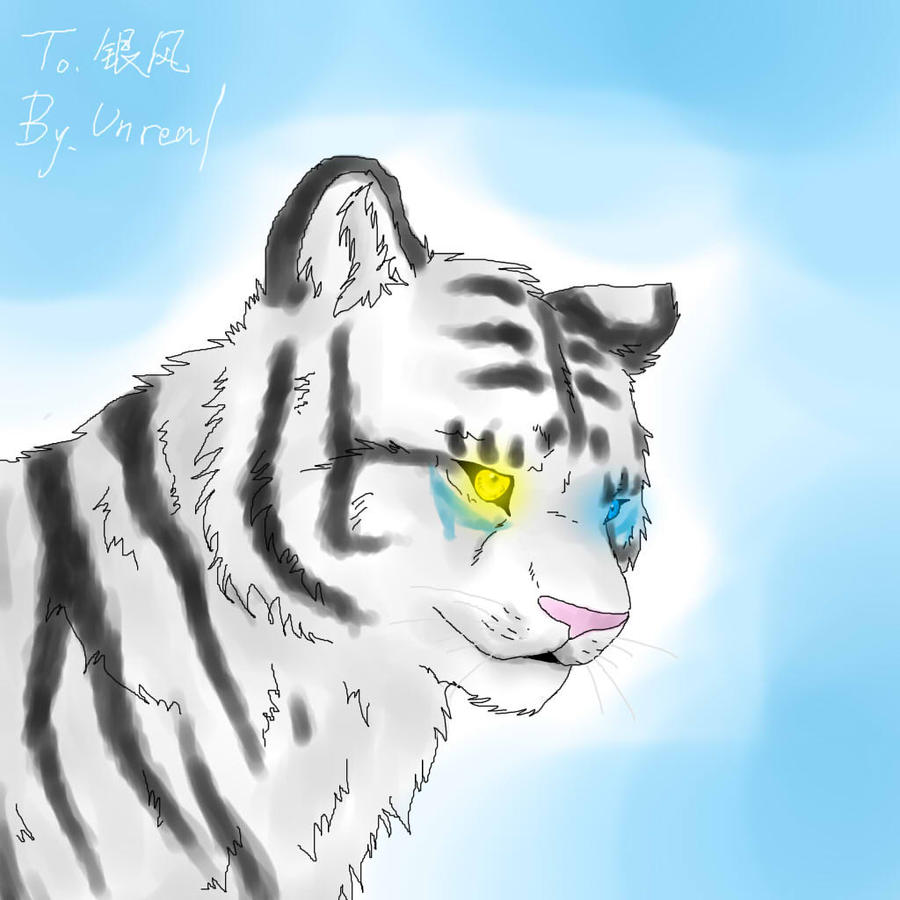 tiger