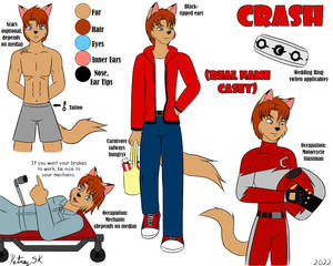 Crash Model Sheet 2023