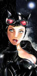 Catwoman - Wet Cat by MassimoGuidi
