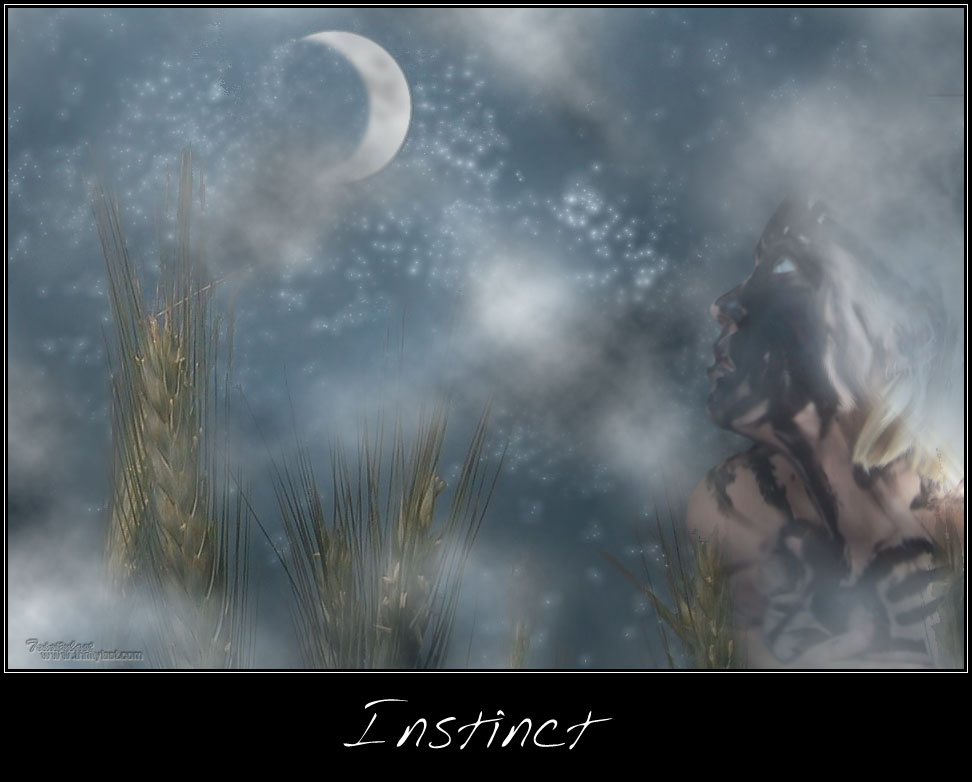 Instinct