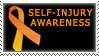 Orange ribbon