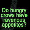 Hungry crows