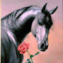 Horse and Rose