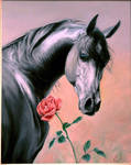 Horse and Rose