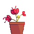 Plant icon (dont comment just use)