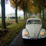 Autumn VW Beetle