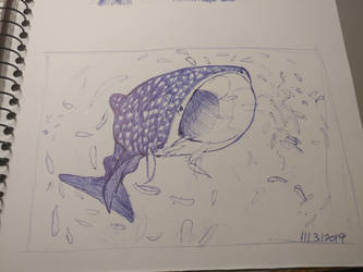 Day1 - whale