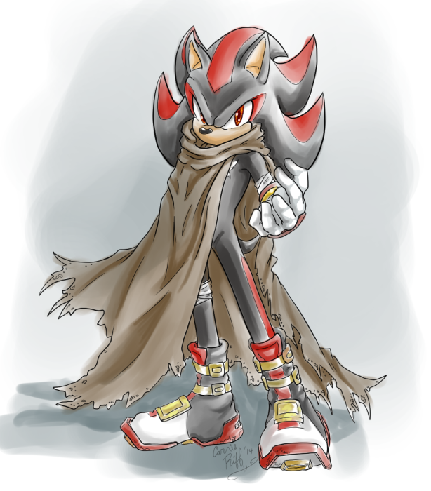 Sonic by inualet on DeviantArt  Sonic, Sonic and shadow, Sonic boom