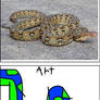 Reticulated Python ( cartoon and Real life )