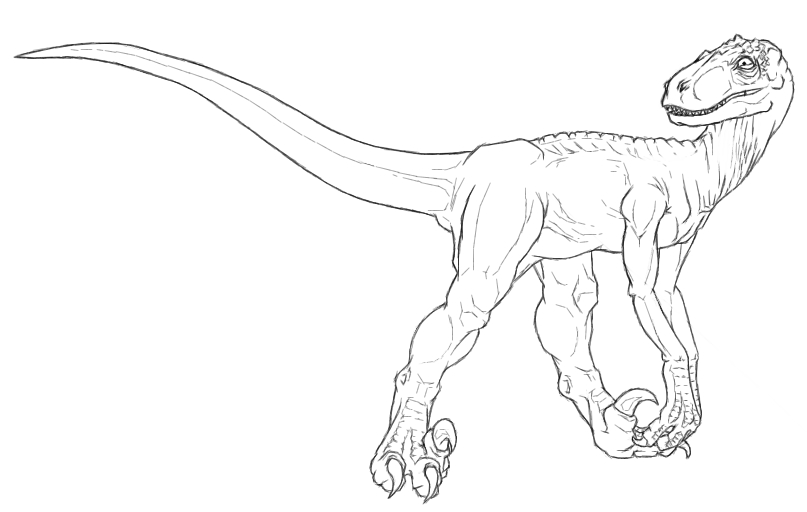 Utah Raptor Outlines utahraptor - lineart by rydicanubis on DeviantArt
