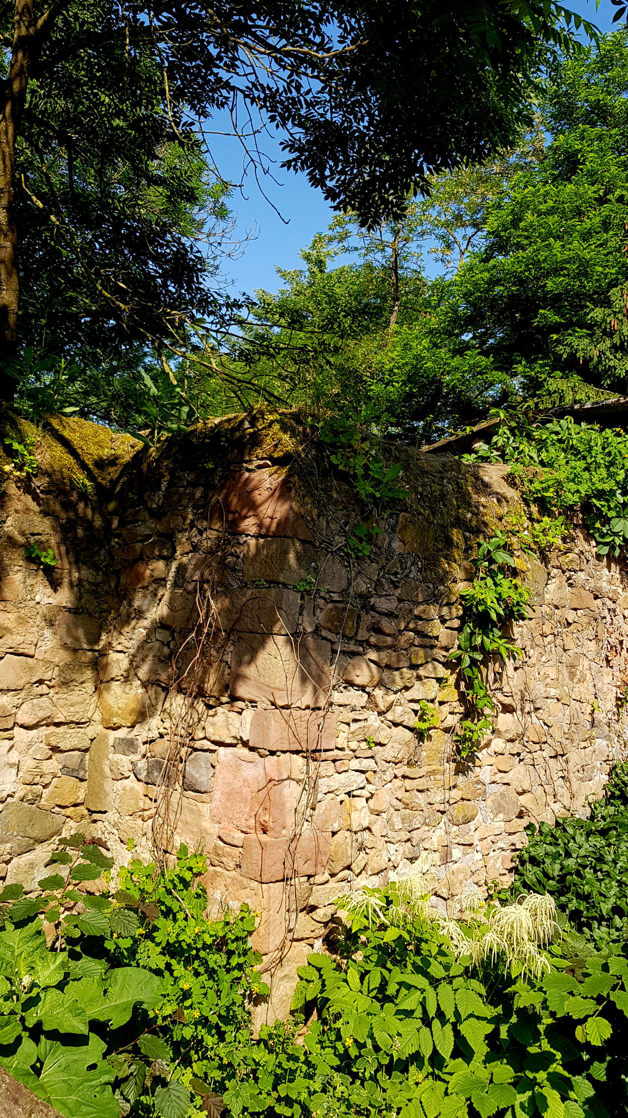 Decayed Reactor: Nature Reclaims Man'S Mistake - eh5j6io
