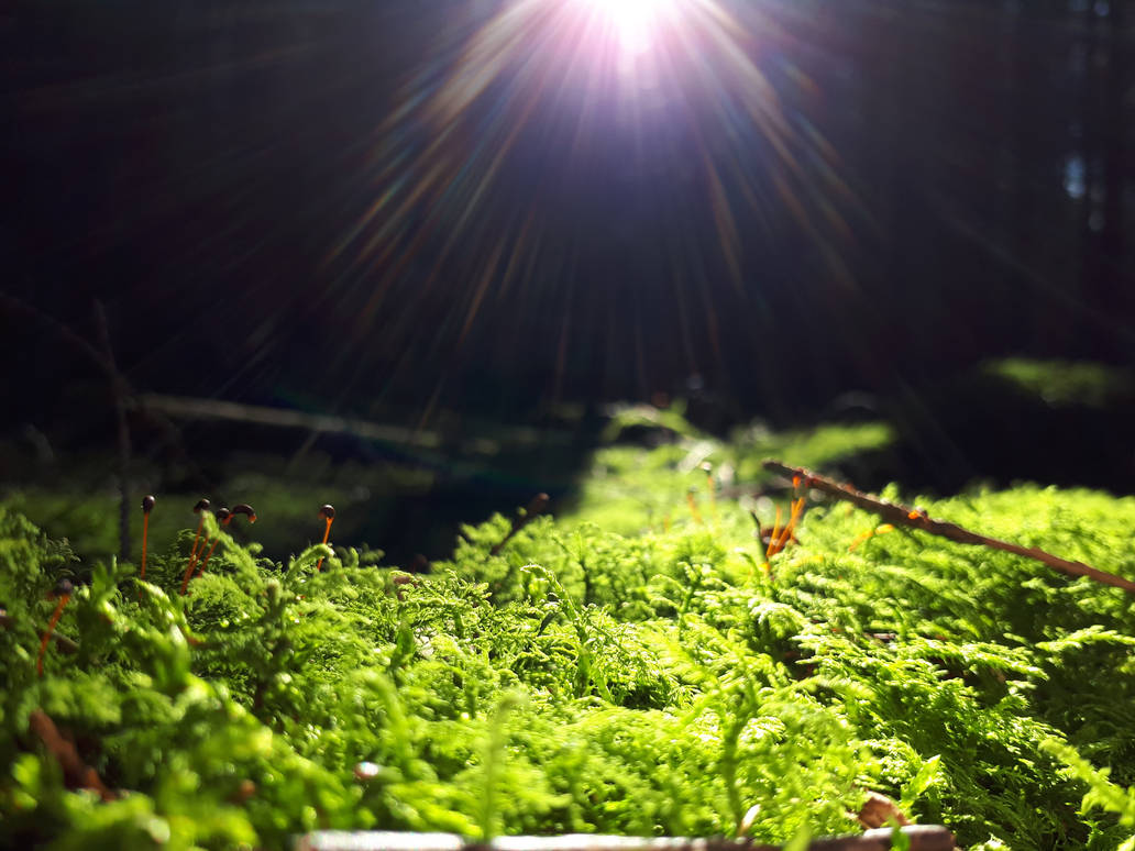 DreamingDemon Hobbyist, Digital Artist DeviantArt