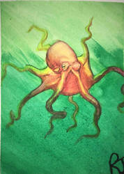 Red Octopus in a green sea
