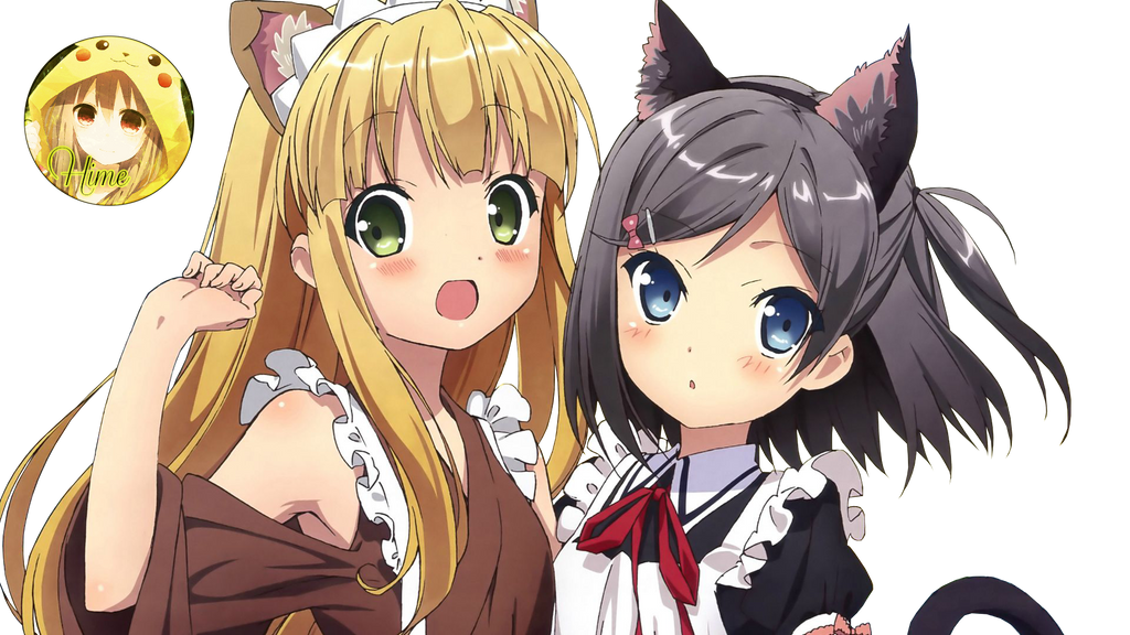 Hentai Ouji To Warawanai Neko Scan Vf