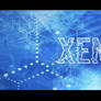 New Stye Xenon Portada