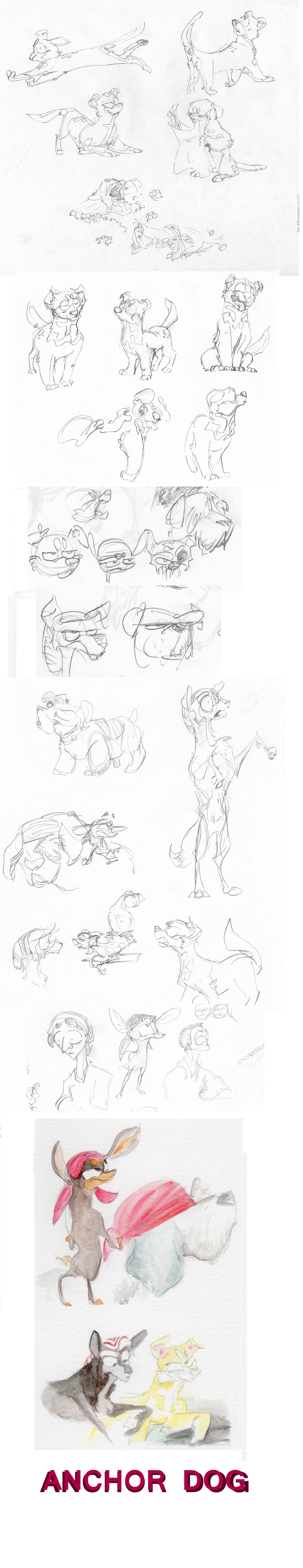 Anchor Dog sketches