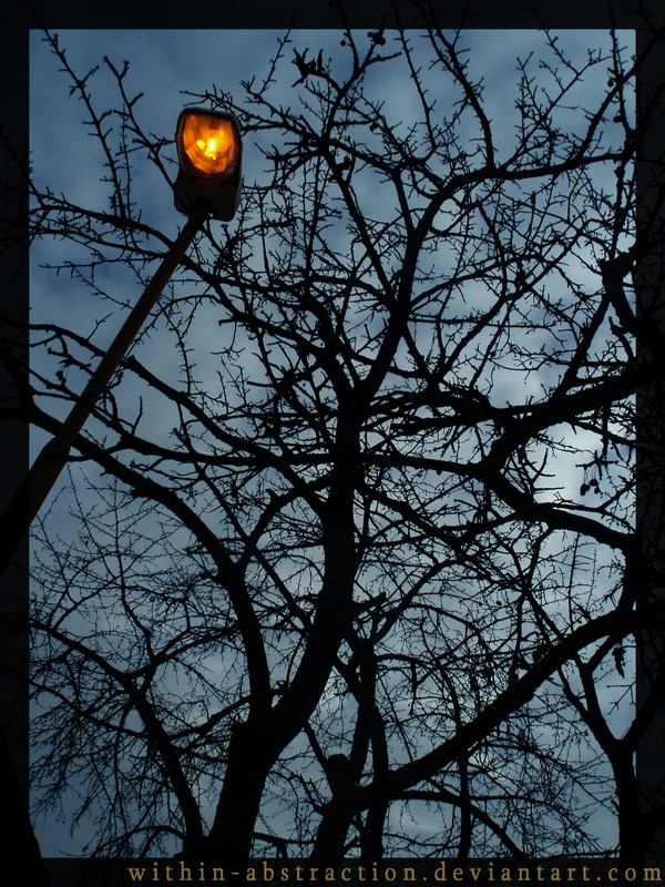 Yellow Lamp and Cherry Tree