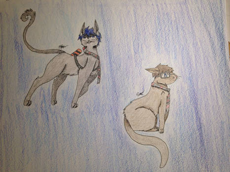 Rin and Yukio as cats