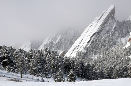 Flatiron Three