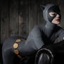 Catwoman BTAS