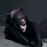 Catwoman Jim Balent