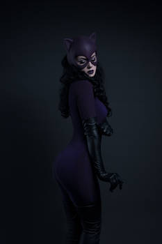Catwoman Jim Balent