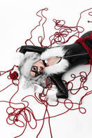 Black Cat shibari