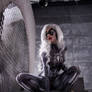 Black Cat in spider suit