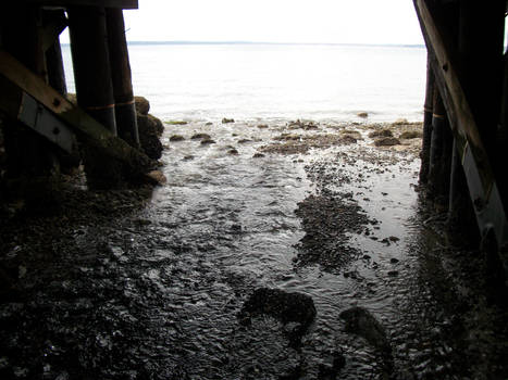 Shore under bridge