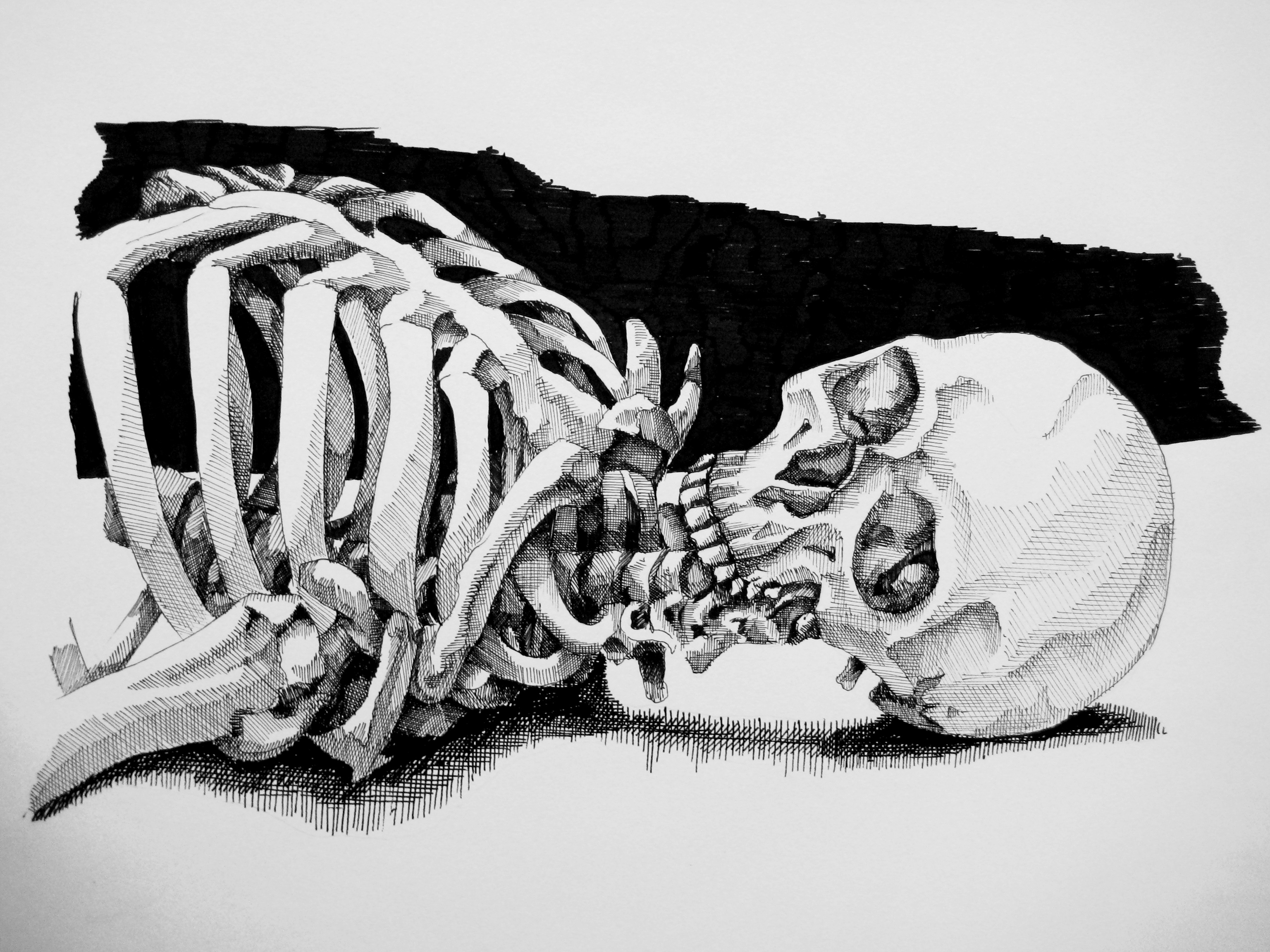 skeleton still life 2