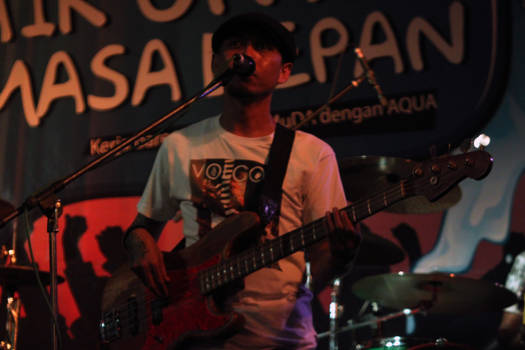 bass Shaggydog Band