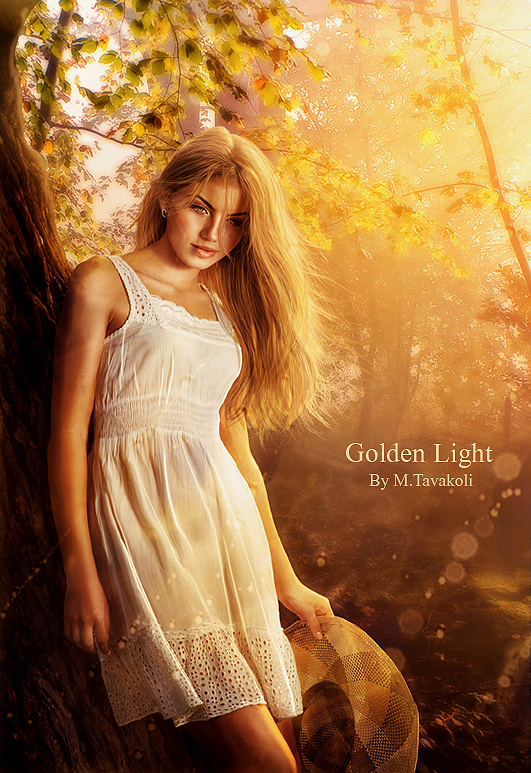 Golden Light