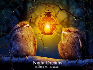 Night Dreams by DigitalDreams-Art