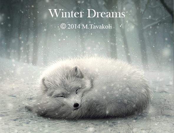 Winter Dreams