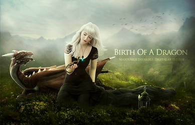 Birth Of A Dragon 1 by DigitalDreams-Art