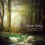 Swan Song