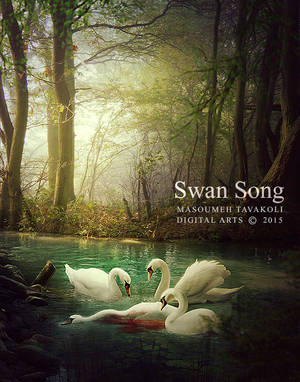 Swan Song by DigitalDreams-Art
