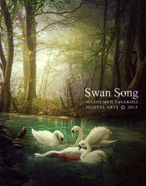 Swan Song by DigitalDreams-Art Swan Song by DigitalDreams-Art