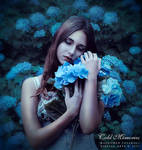 Cold Memories by DigitalDreams-Art
