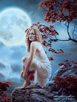 Moonlight Whispers by DigitalDreams-Art
