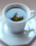 Floral Tea by GabiAngelo