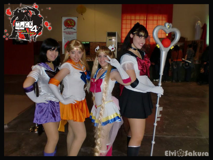 Team Sailor Moon V