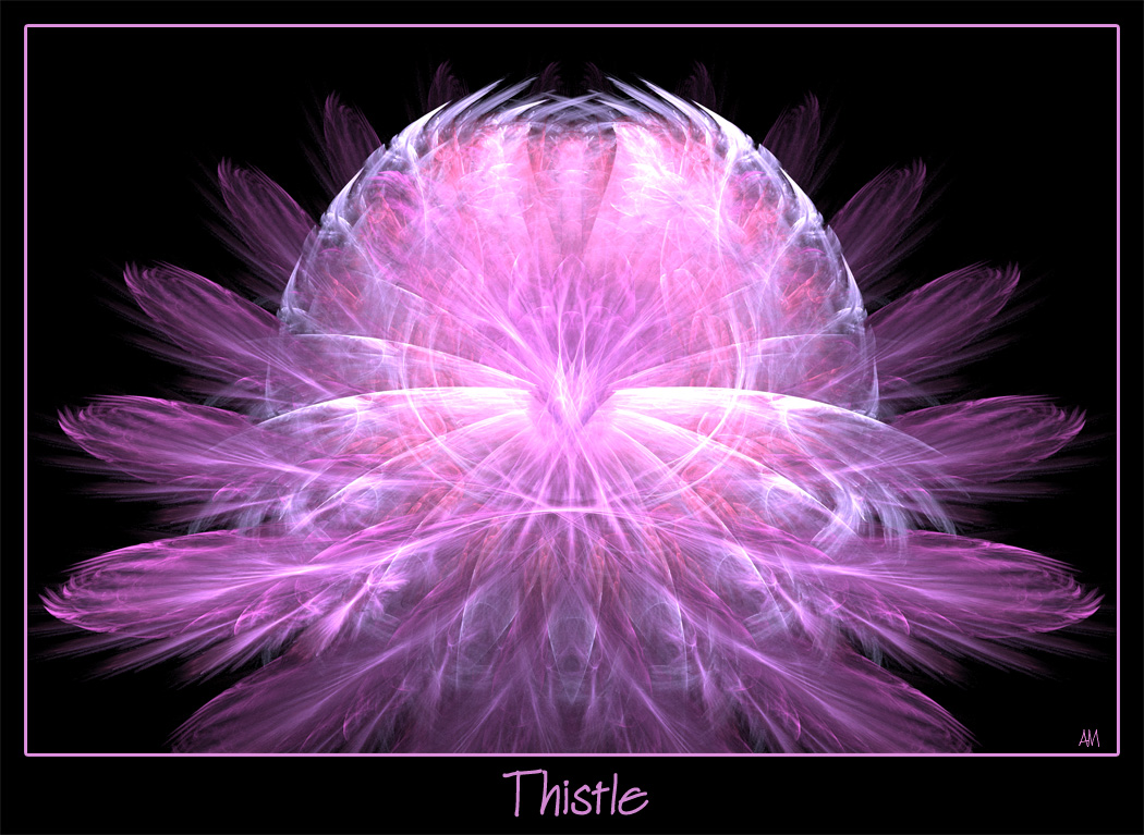 Thistle